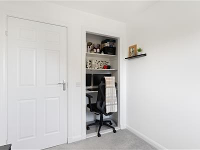 Picture 24